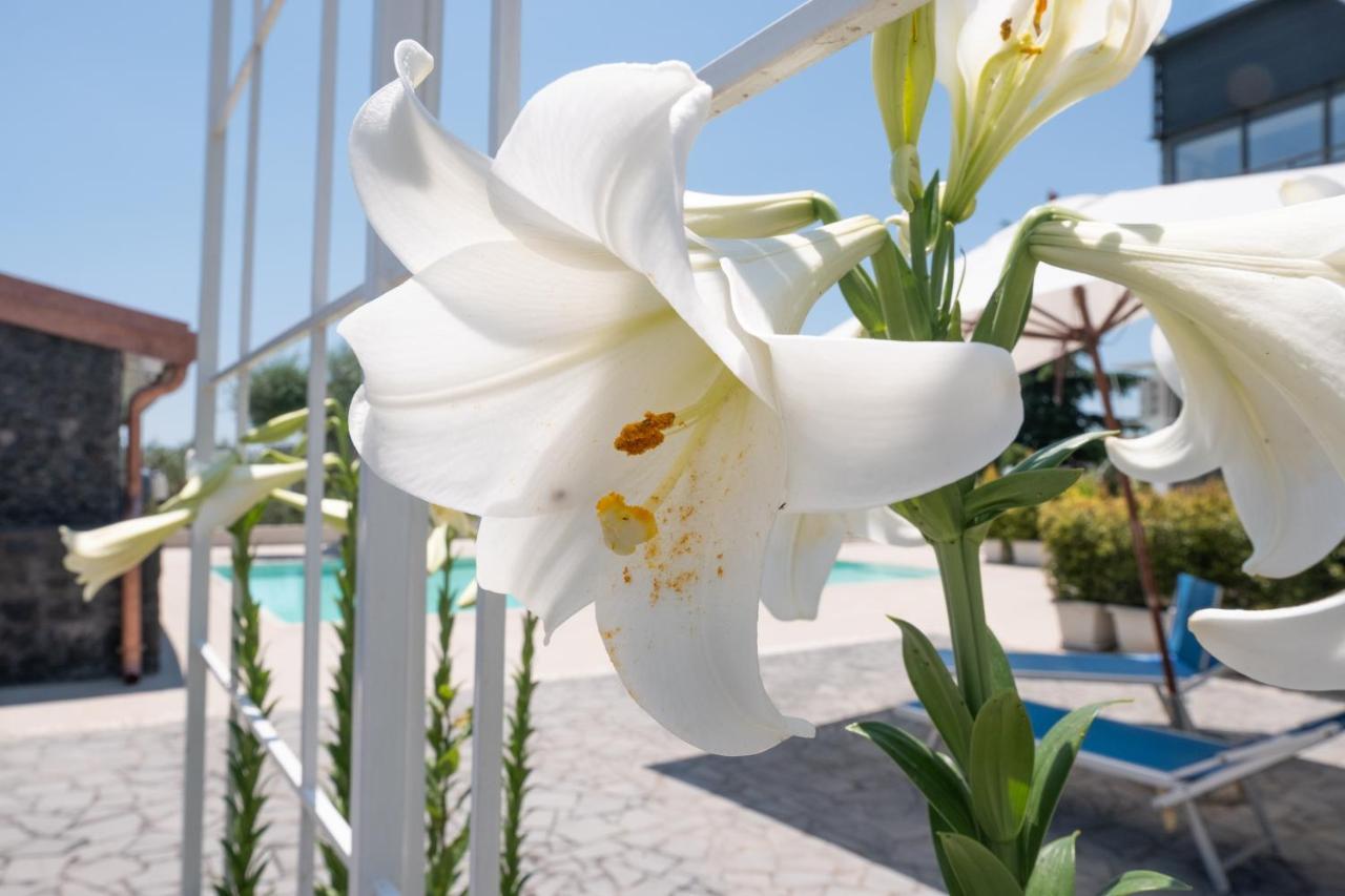 Lux Suite Sicily Mascalucia Exteriör bild